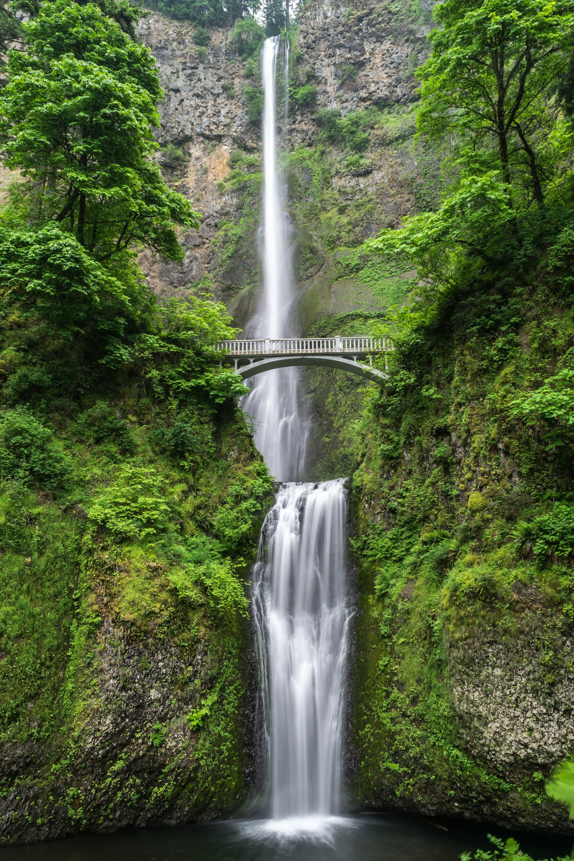 Cascada tropical rodeada de naturaleza en Costa Rica